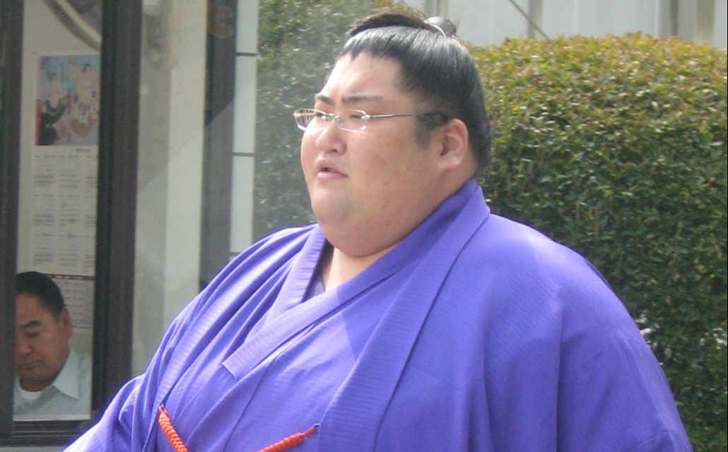 largest sumo wrestlers
