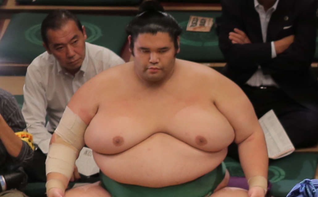 who are biggest sumo wrestlers