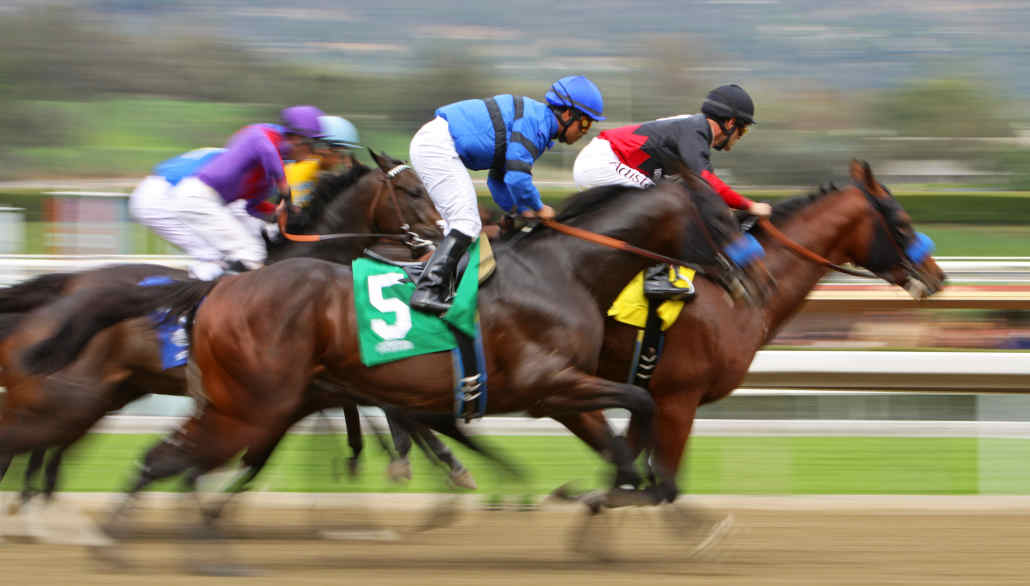 show bet horse racing